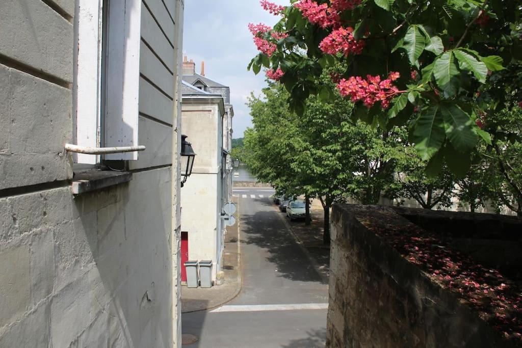 Appartement Calme Proche De La Loire Сомюр Екстериор снимка